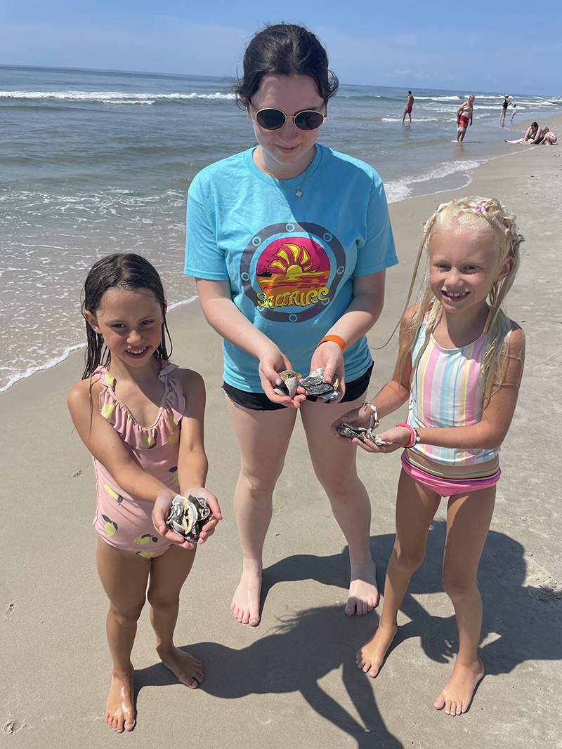 Furniture Shop at Home